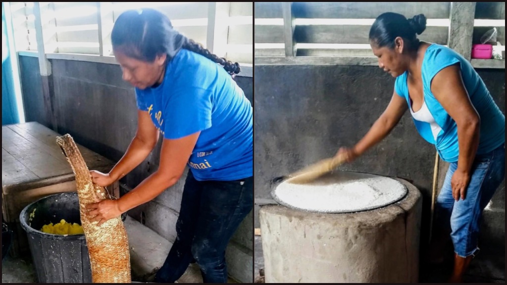 Two images of cassava preparation: squeezing out poison and making cassava bread.